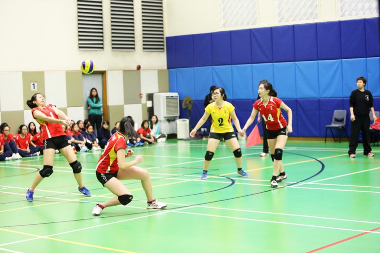 Volleyball Tournament